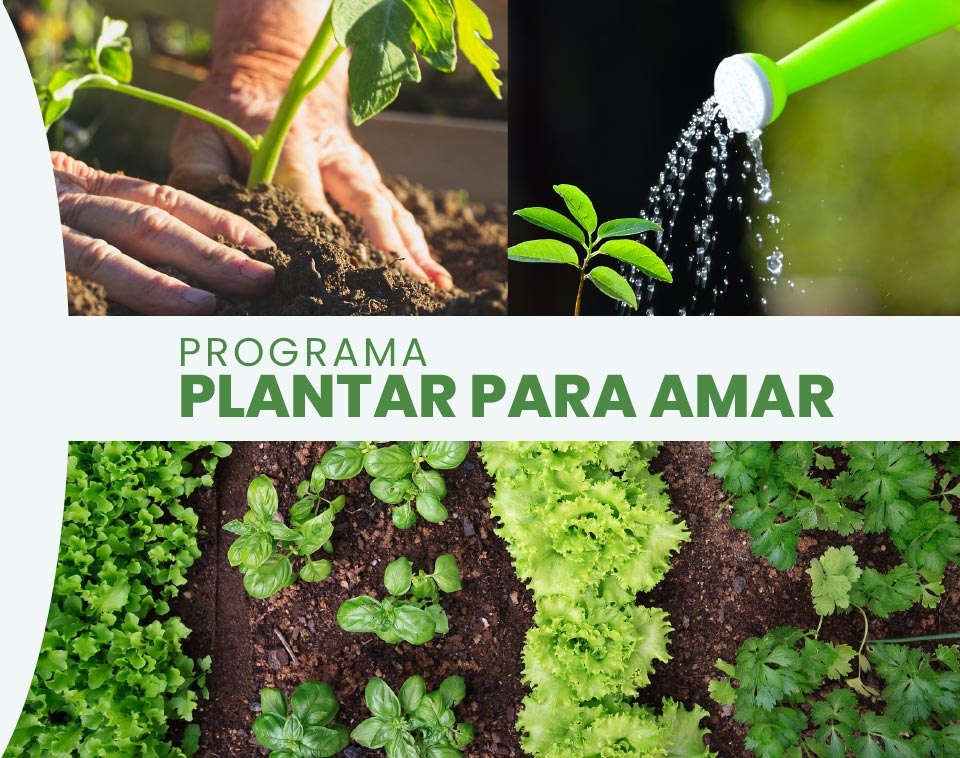 Programa Plantar para Amar